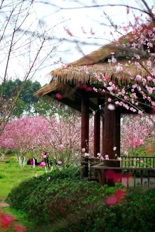决战加勒比
