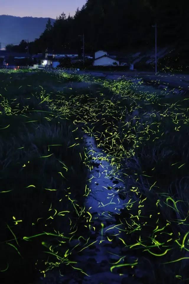 秦始皇是不是暴君?从湖北出土的1155枚秦简,能否找到答案?